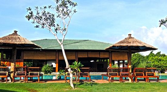 CAMELLIA - SIGIRIYA
